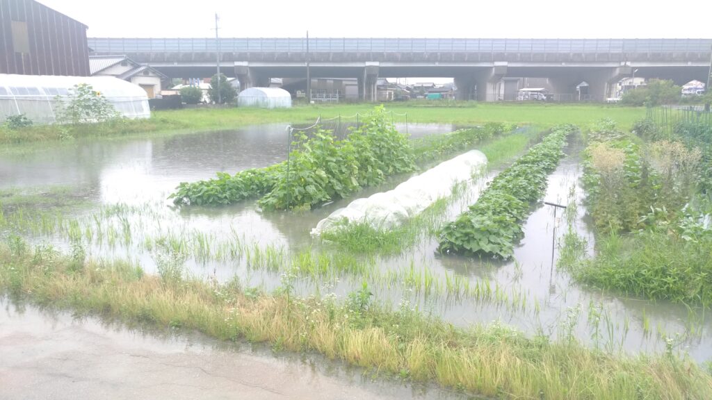 平成30年7月豪雨（ふらくたる自然農園の様子）