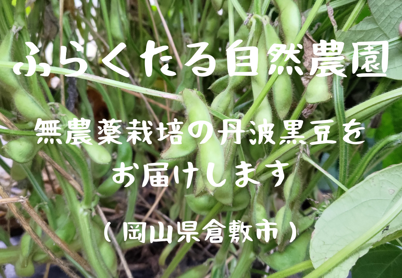 ふらくたる自然農園（岡山）/無農薬で栽培した丹波黒豆の枝豆を通信販売｜岡山県の農家が無農薬で育てた丹波黒豆をお届けします！