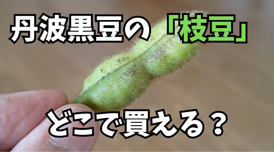 丹波黒豆の「枝豆」はどこで買える？